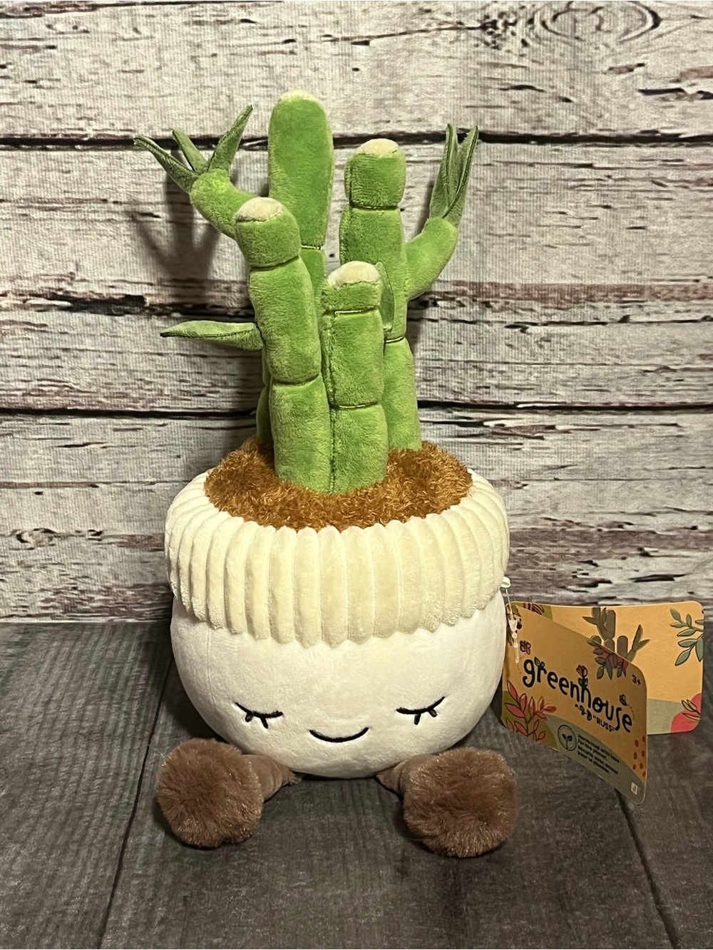 New!! Greenhouse by RUSS plush bamboo planter “Malia” cream pot